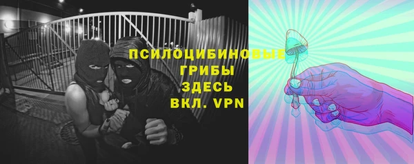 прущие грибы Алексин