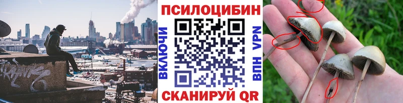 ОМГ ОМГ онион  Асино  Псилоцибиновые грибы ЛСД 