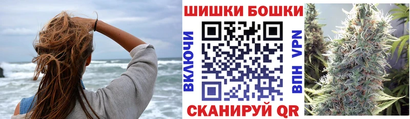 Канабис сатива  omg вход  Асино 